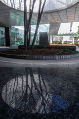 Reflection