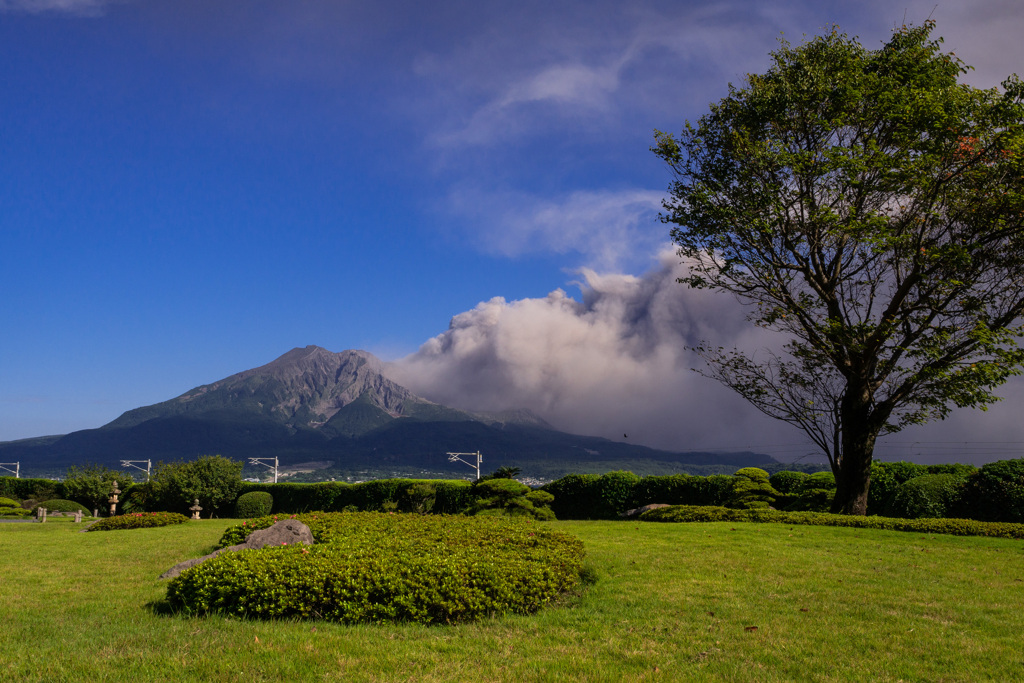 桜島噴煙 #1