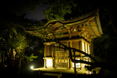 夜の旧天瑞寺寿塔覆堂 #1