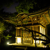 夜の旧天瑞寺寿塔覆堂 #1