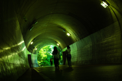 Green-高島山トンネル