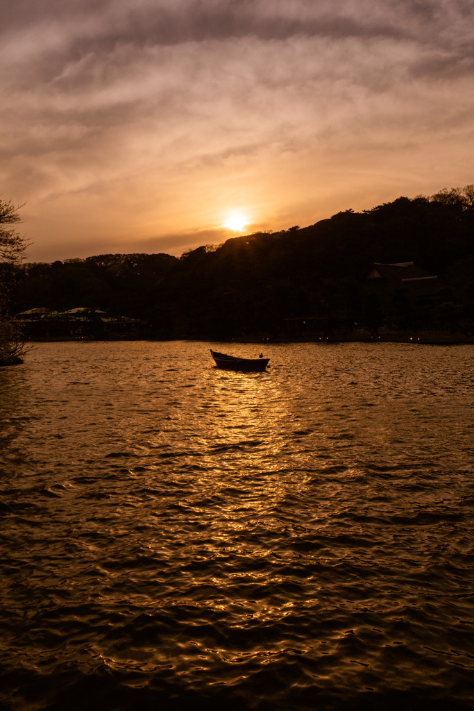 大池 夕映え