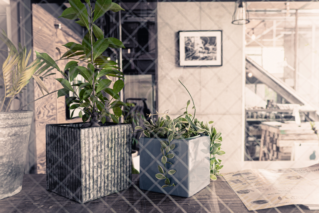 Afternoon coffee shop