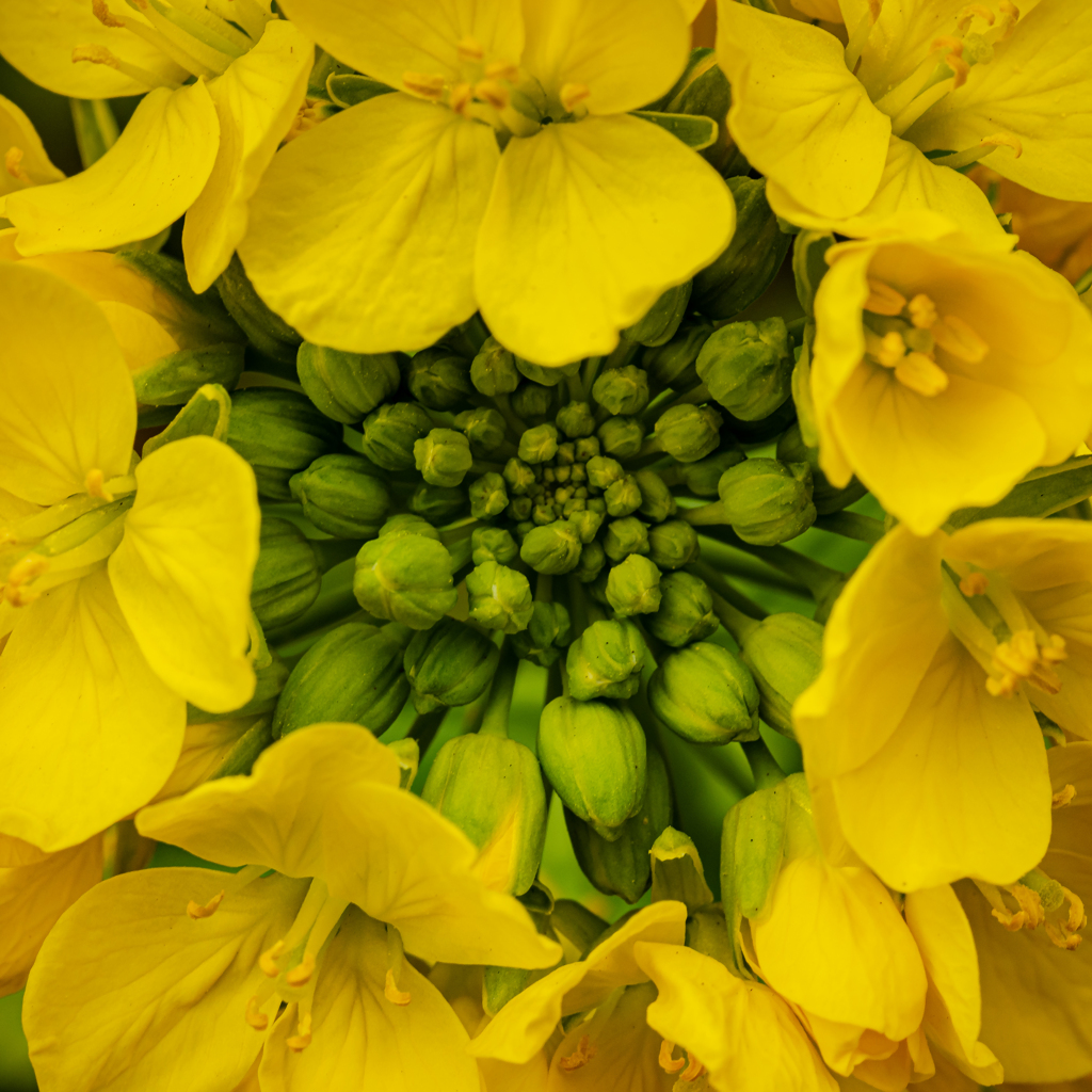 元気ですか！とでも言っているような