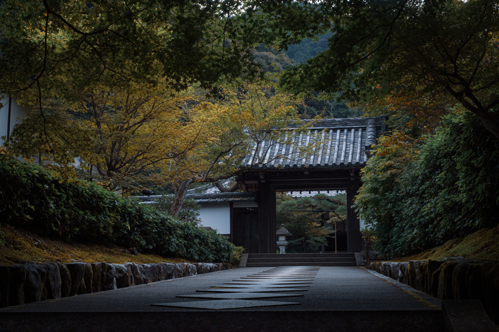 静寂の秋　南禅寺最勝院