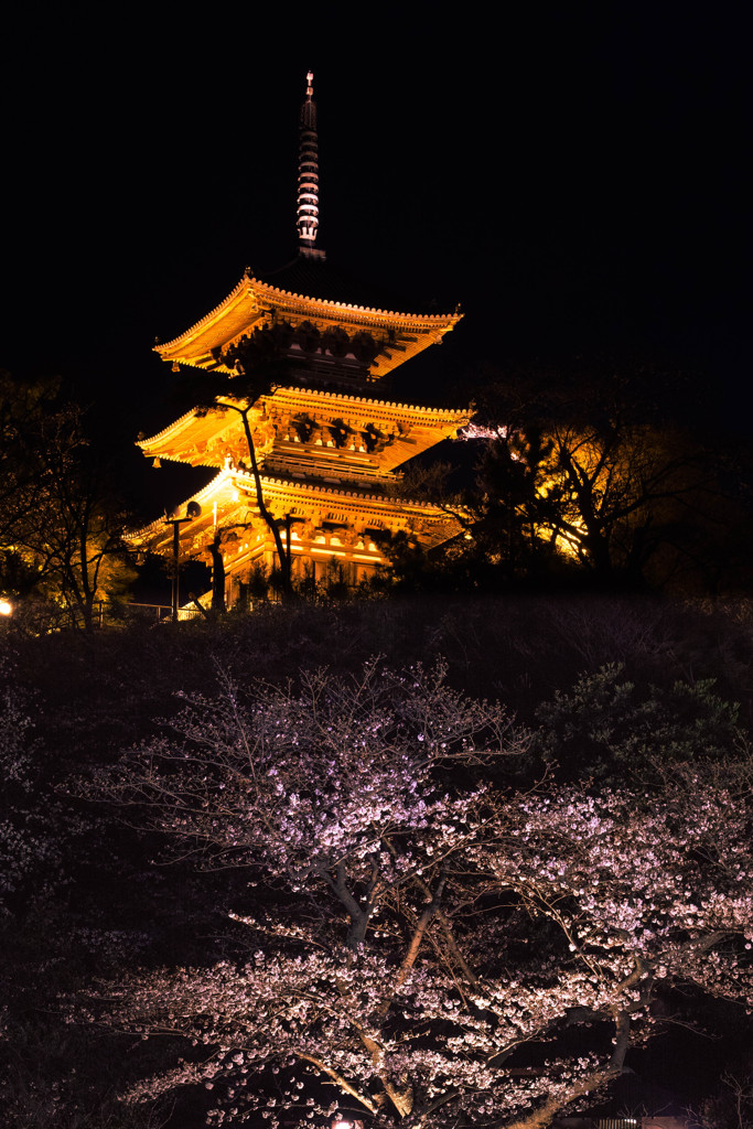 三渓園 06　旧燈明堂三重塔