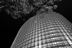 Building  #2