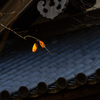 冬の戸口 #4