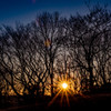 昨日の夕陽