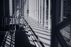 Shadow #2