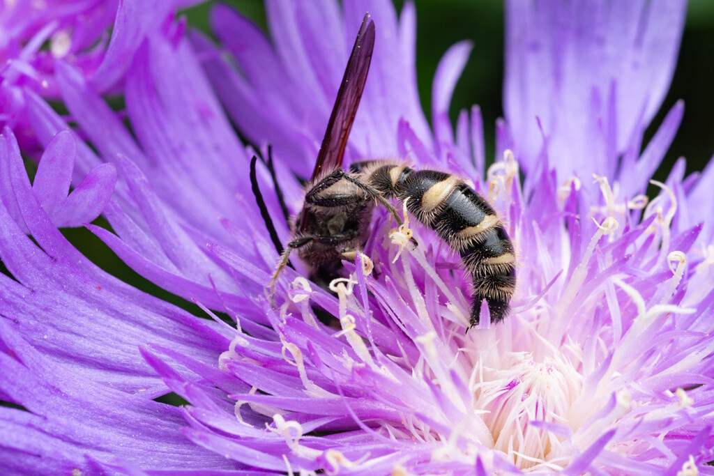 A Taste of Honey 04