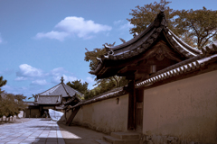 斑鳩の路 夢殿へ