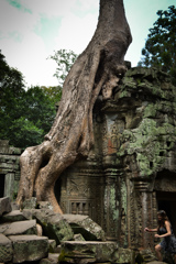 Ta Prohm 02　侵食