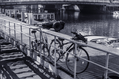 桟橋と自転車