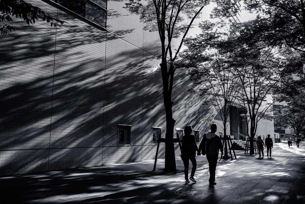 Shadow　影 #2
