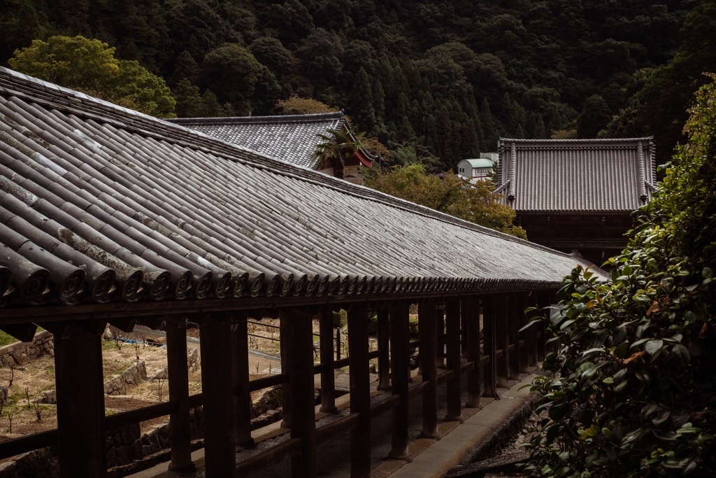 祈りへの399段　登廊 #1