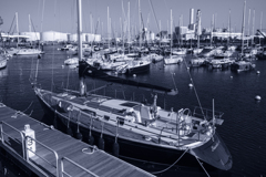 Yokohama Civic Yacht Harbor #2