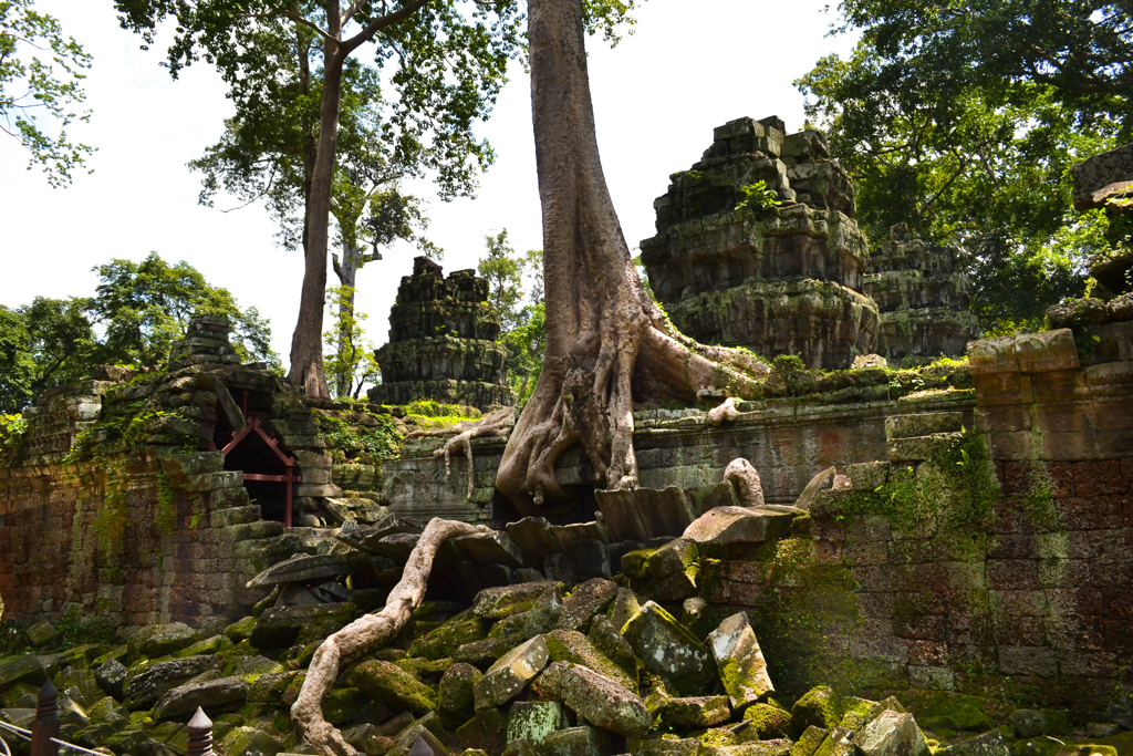 Ta Prohm 03　破壊