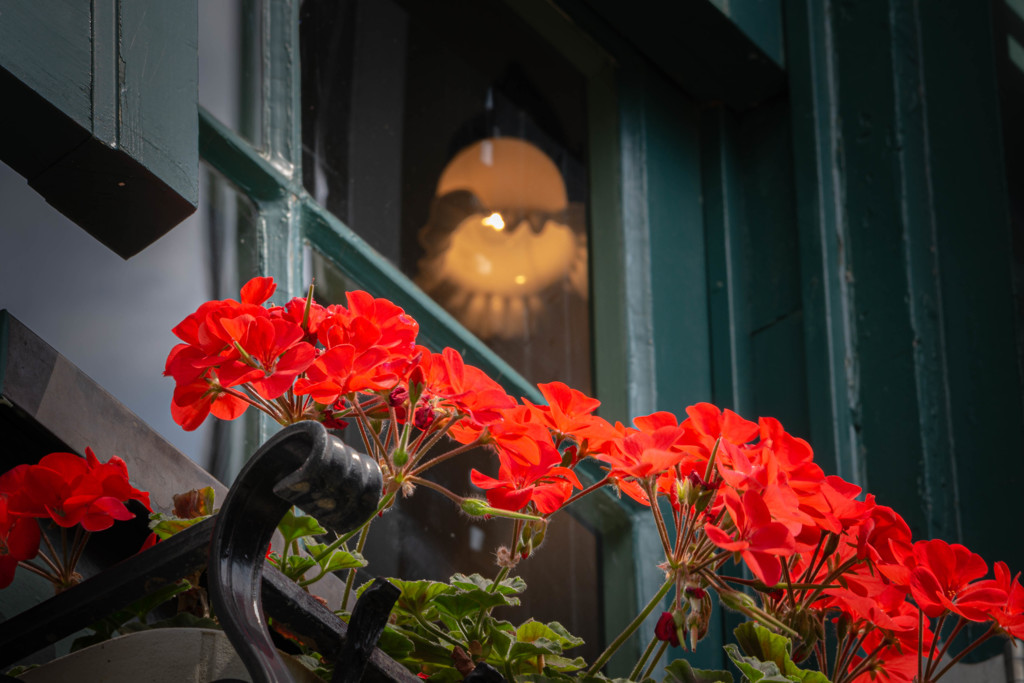 春色 32　西洋館の彩り #2