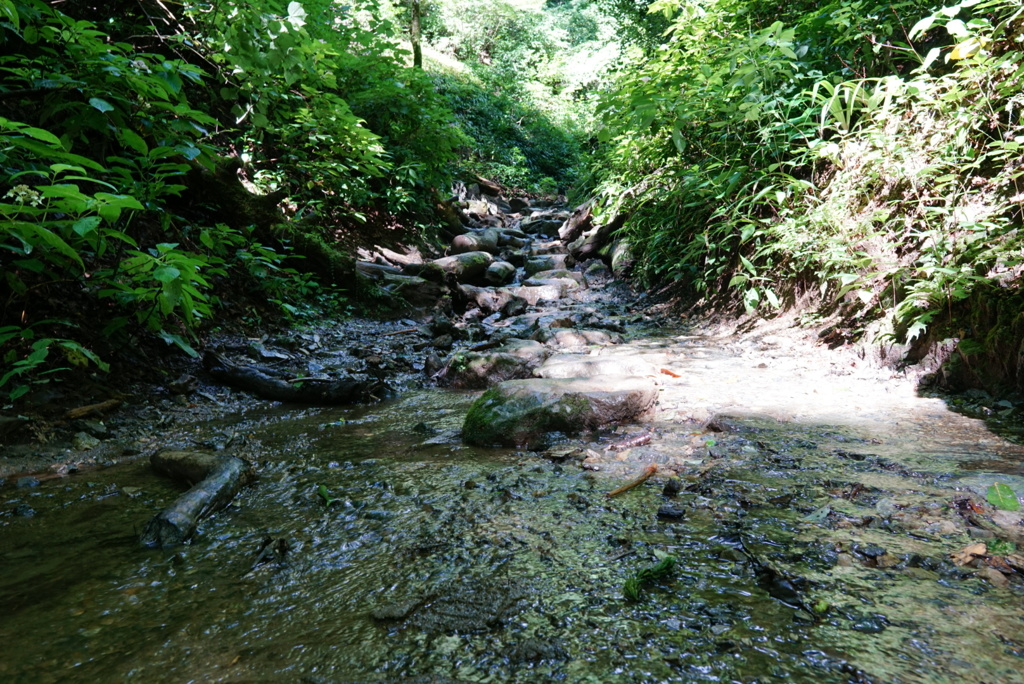 初めての高尾山