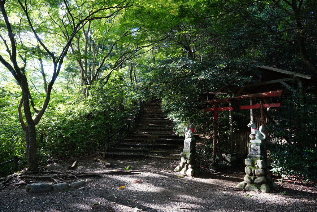 初めての高尾山