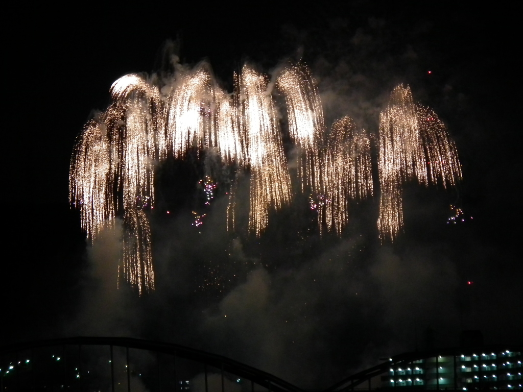 秋の夜の花火ー２