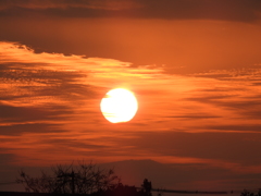 夕日