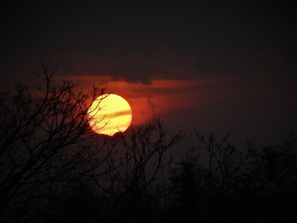 今日は赤い夕日