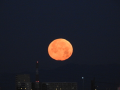 月齢14,1