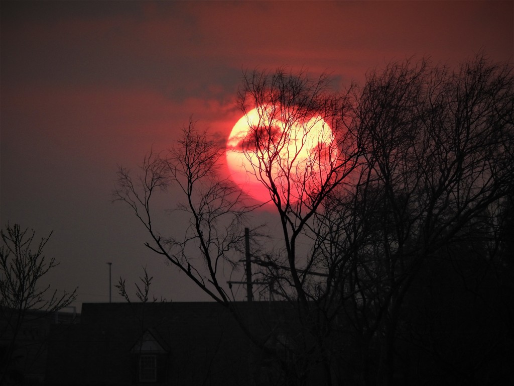 夕日