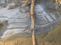 薄氷ー4