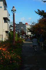 色づく花