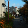 色づく花