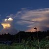 雷雨の予感