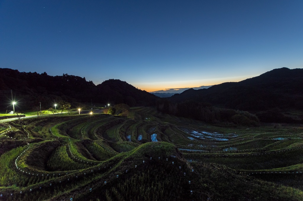 大山千枚田の夜明け