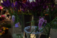 お花屋さんの花