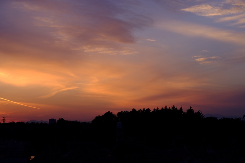 淡い夕空