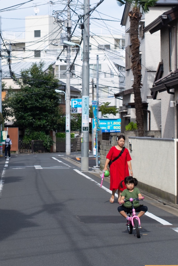 真夏のホットなクリスマスカラーの親子