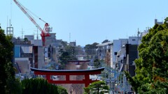 鶴岡八幡宮2