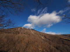 日光の朝3