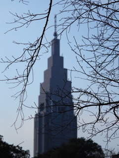 新宿御苑にて