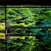 緑の瑠璃光院2