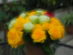薔薇