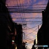 夕に染まる虎屋横丁