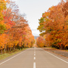 屈斜路湖の紅葉