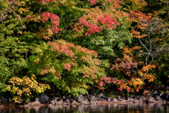 屈斜路湖　紅葉が始まるとき