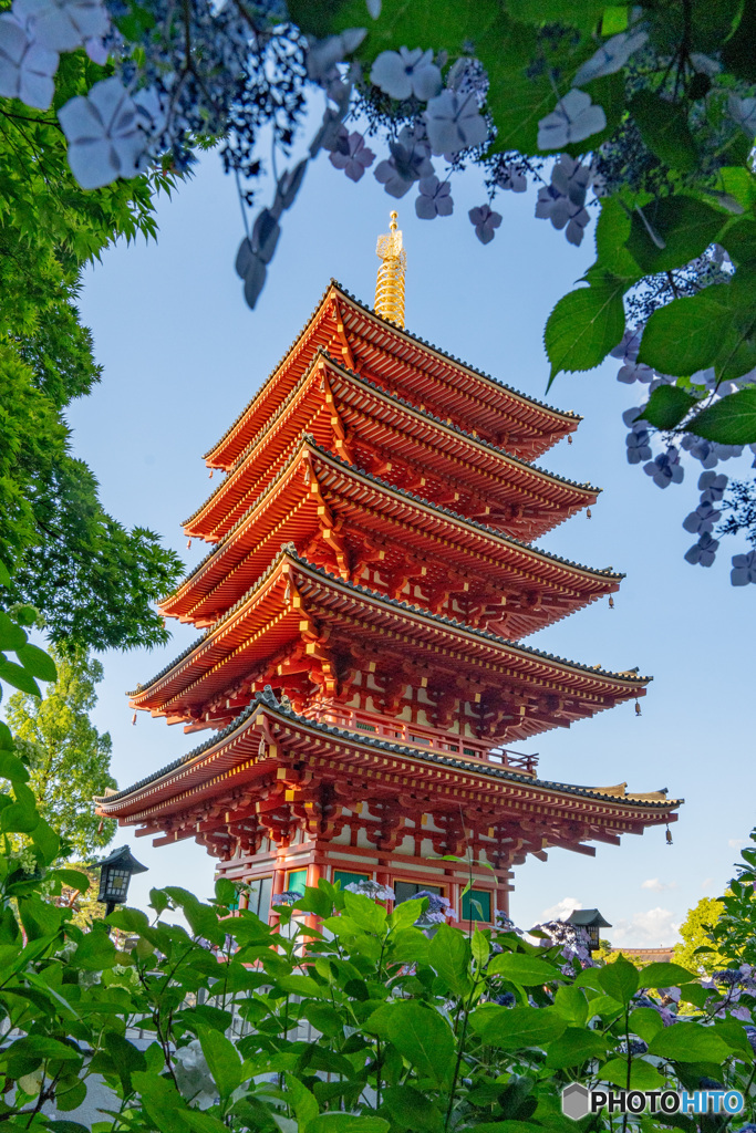 高幡不動尊