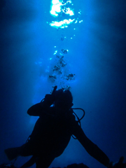 沖縄の深海旅行
