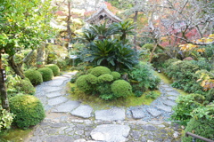 龍潭寺の庭園１