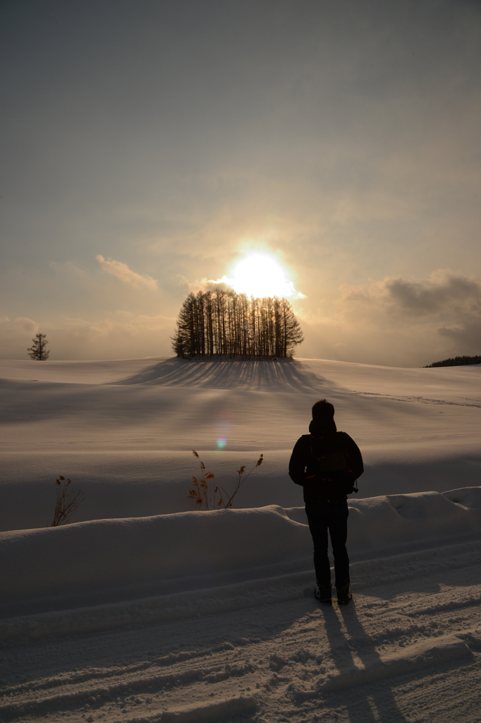 黄昏の雪原